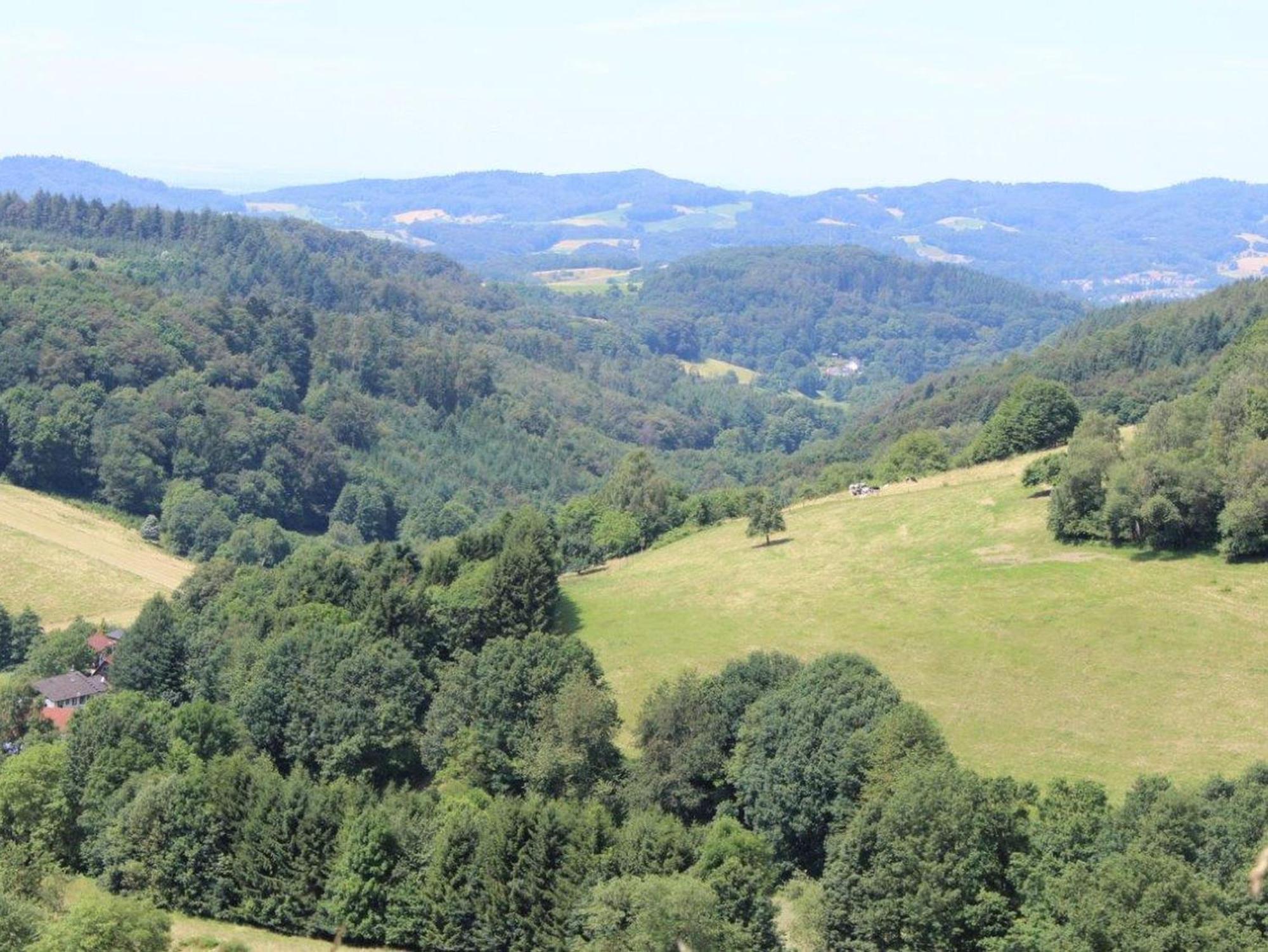 Ferienwohnung Rimbach ภายนอก รูปภาพ