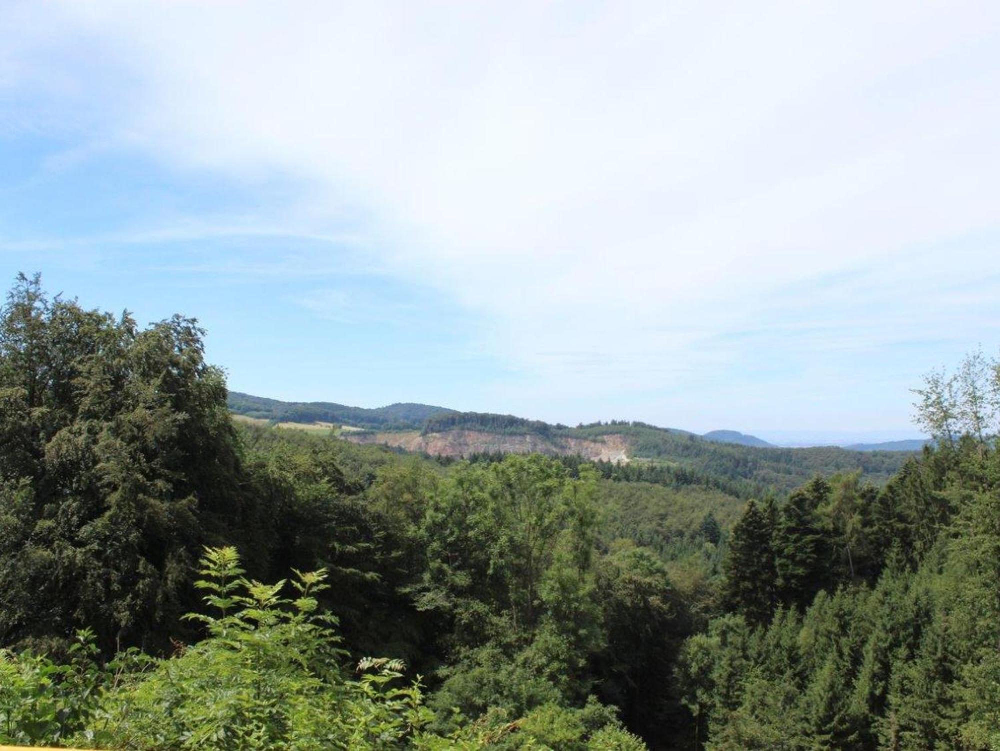Ferienwohnung Rimbach ภายนอก รูปภาพ