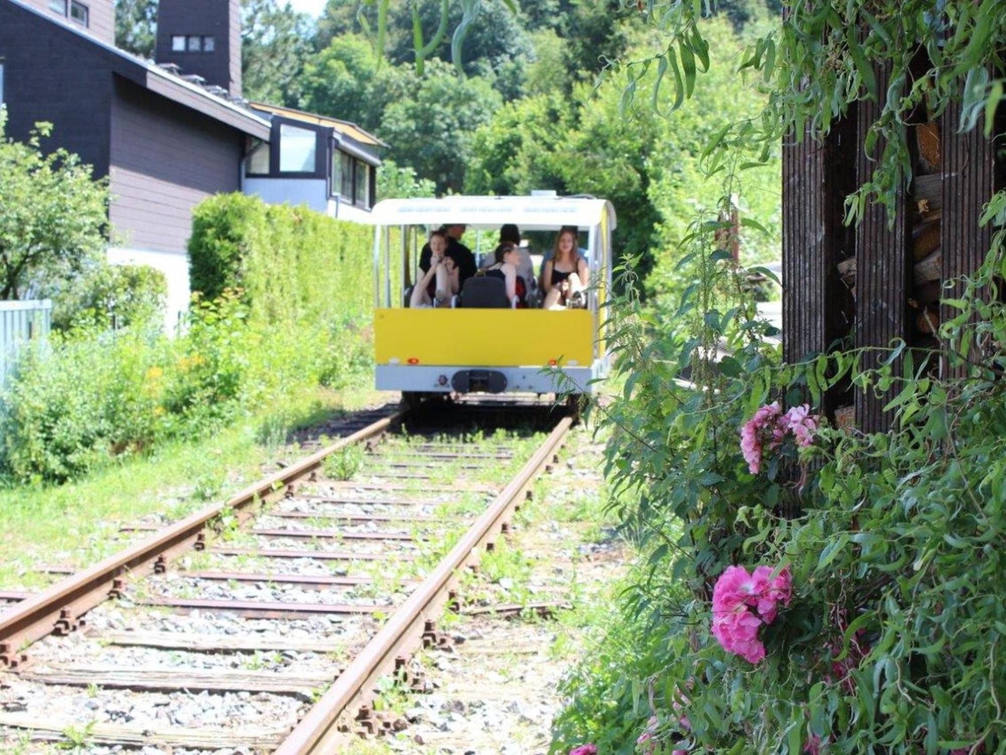 Ferienwohnung Rimbach ภายนอก รูปภาพ