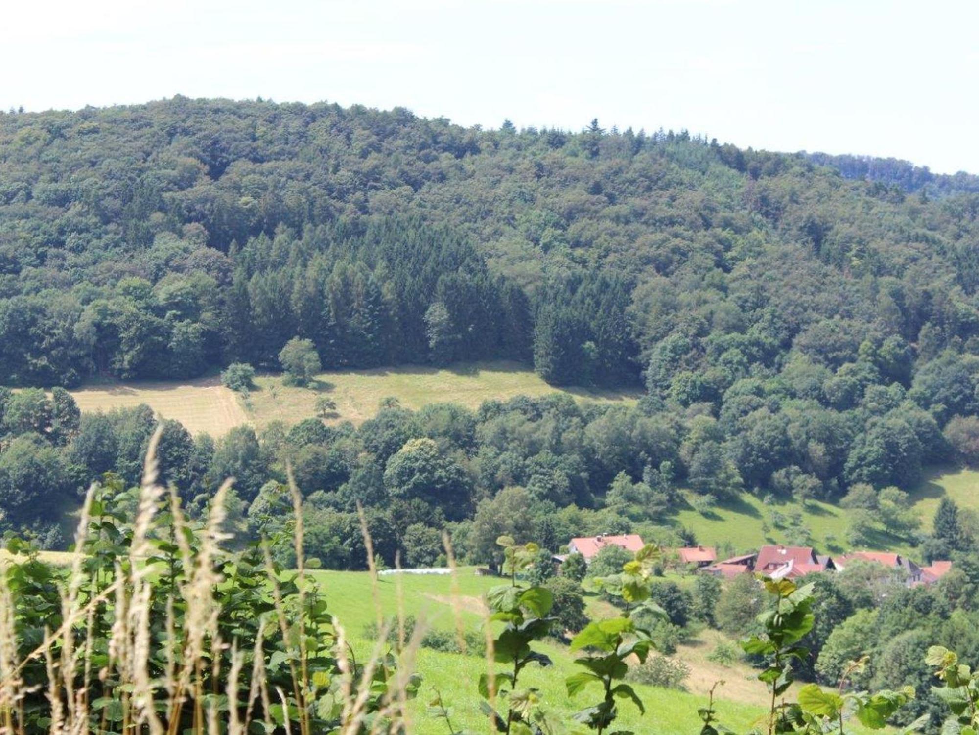 Ferienwohnung Rimbach ภายนอก รูปภาพ